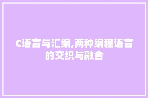 C语言与汇编,两种编程语言的交织与融合 Node.js