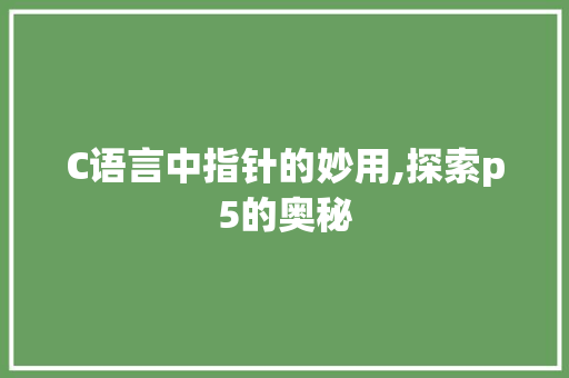 C语言中指针的妙用,探索p5的奥秘