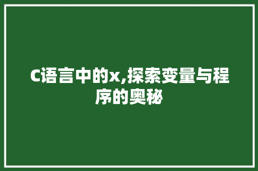 C语言中的x,探索变量与程序的奥秘