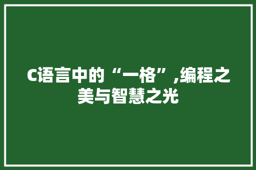 C语言中的“一格”,编程之美与智慧之光