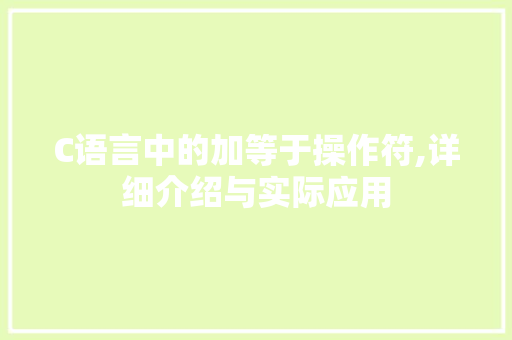 C语言中的加等于操作符,详细介绍与实际应用