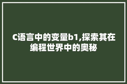 C语言中的变量b1,探索其在编程世界中的奥秘