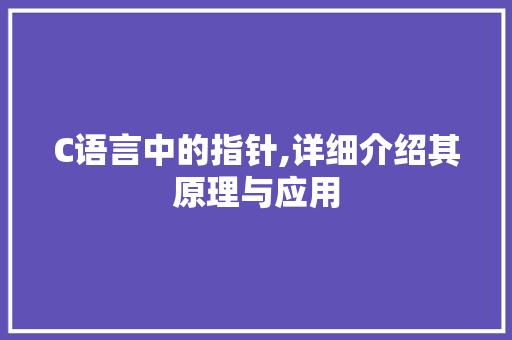 C语言中的指针,详细介绍其原理与应用