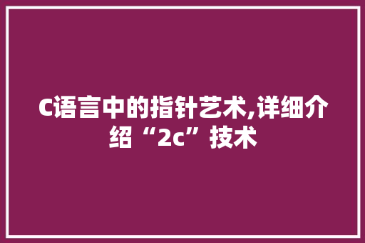 C语言中的指针艺术,详细介绍“2c”技术