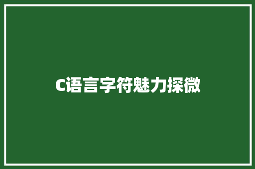 C语言字符魅力探微