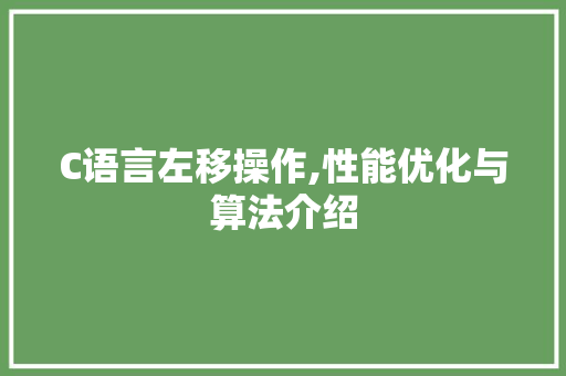 C语言左移操作,性能优化与算法介绍