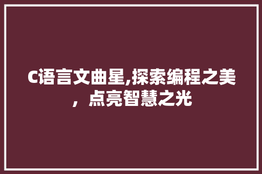 C语言文曲星,探索编程之美，点亮智慧之光