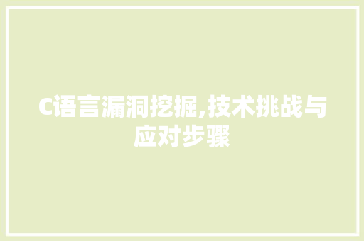 C语言漏洞挖掘,技术挑战与应对步骤