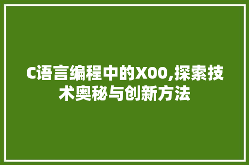 C语言编程中的X00,探索技术奥秘与创新方法