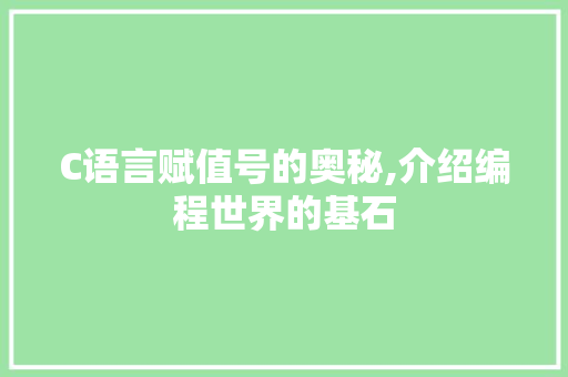 C语言赋值号的奥秘,介绍编程世界的基石 Webpack