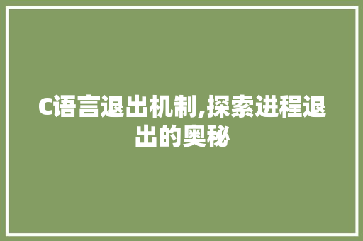 C语言退出机制,探索进程退出的奥秘