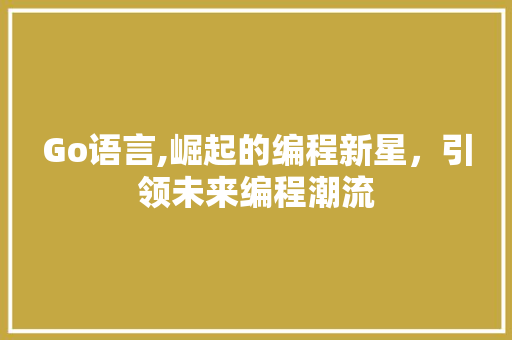 Go语言,崛起的编程新星，引领未来编程潮流 PHP