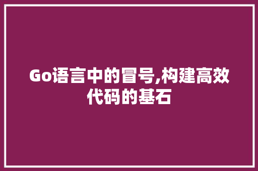 Go语言中的冒号,构建高效代码的基石 Vue.js