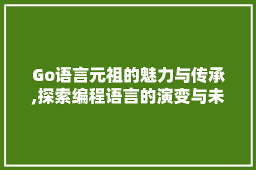 Go语言元祖的魅力与传承,探索编程语言的演变与未来 Node.js