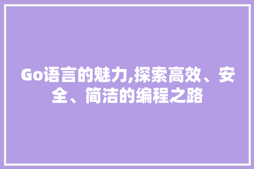 Go语言的魅力,探索高效、安全、简洁的编程之路