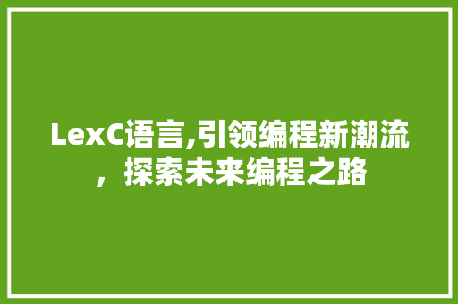 LexC语言,引领编程新潮流，探索未来编程之路