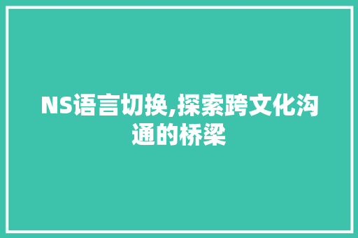 NS语言切换,探索跨文化沟通的桥梁