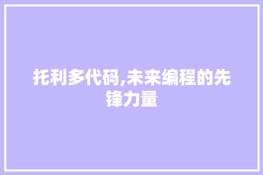 托利多代码,未来编程的先锋力量