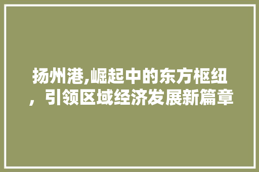 扬州港,崛起中的东方枢纽，引领区域经济发展新篇章 Python