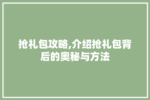 抢礼包攻略,介绍抢礼包背后的奥秘与方法