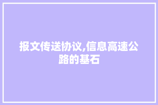 报文传送协议,信息高速公路的基石