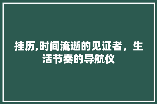 挂历,时间流逝的见证者，生活节奏的导航仪