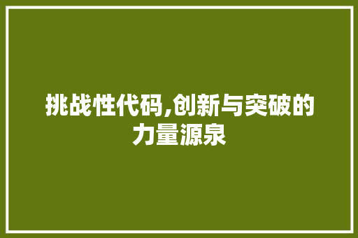 挑战性代码,创新与突破的力量源泉