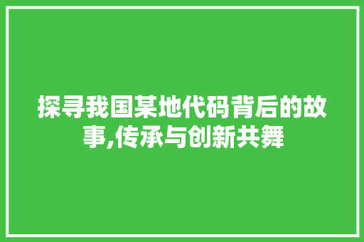 探寻我国某地代码背后的故事,传承与创新共舞