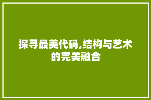 探寻最美代码,结构与艺术的完美融合