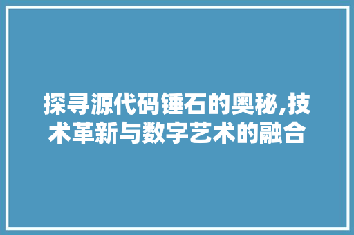 探寻源代码锤石的奥秘,技术革新与数字艺术的融合