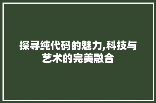 探寻纯代码的魅力,科技与艺术的完美融合