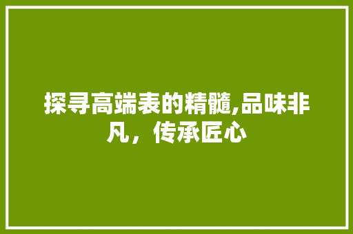 探寻高端表的精髓,品味非凡，传承匠心