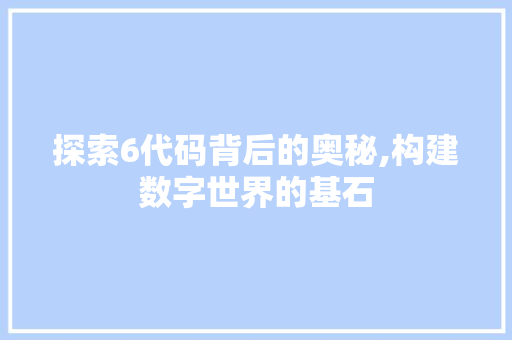 探索6代码背后的奥秘,构建数字世界的基石