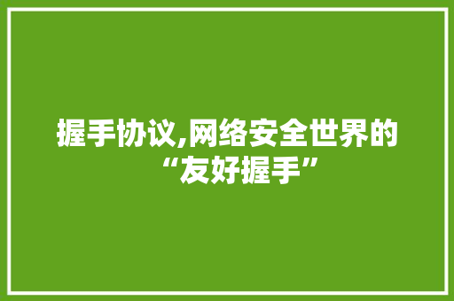 握手协议,网络安全世界的“友好握手”