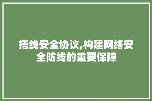 搭线安全协议,构建网络安全防线的重要保障