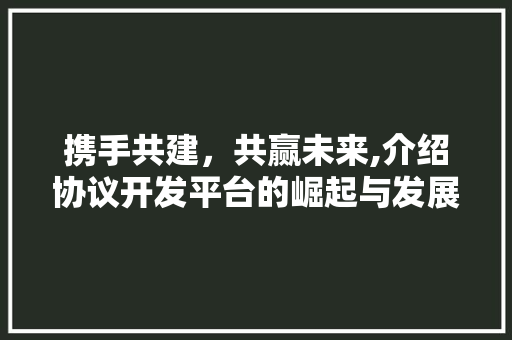 携手共建，共赢未来,介绍协议开发平台的崛起与发展