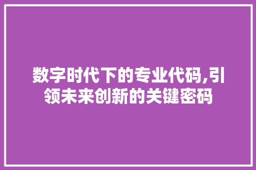 数字时代下的专业代码,引领未来创新的关键密码