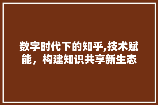 数字时代下的知乎,技术赋能，构建知识共享新生态