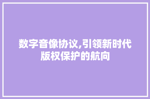 数字音像协议,引领新时代版权保护的航向