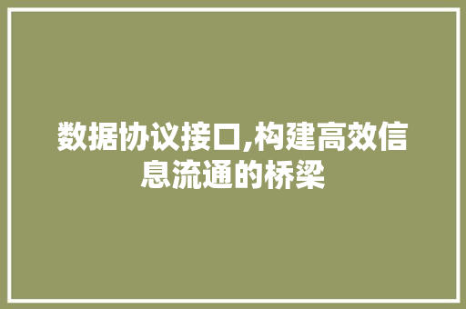 数据协议接口,构建高效信息流通的桥梁