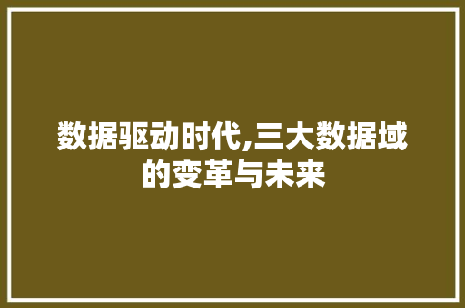 数据驱动时代,三大数据域的变革与未来