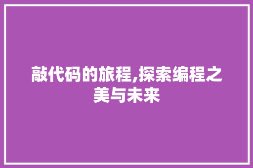 敲代码的旅程,探索编程之美与未来 Java