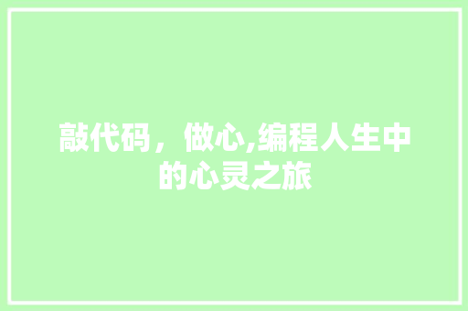 敲代码，做心,编程人生中的心灵之旅