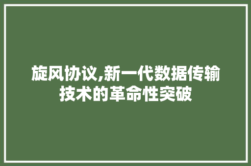 旋风协议,新一代数据传输技术的革命性突破