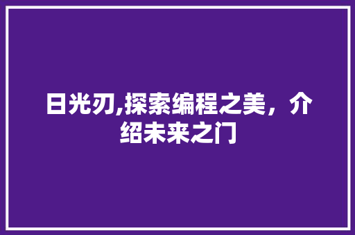 日光刃,探索编程之美，介绍未来之门