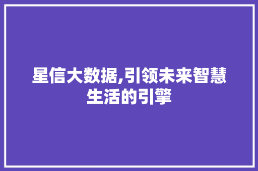 星信大数据,引领未来智慧生活的引擎