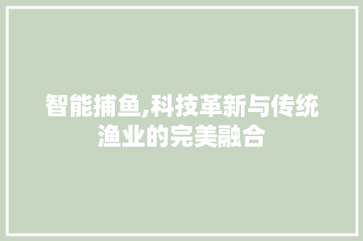 智能捕鱼,科技革新与传统渔业的完美融合