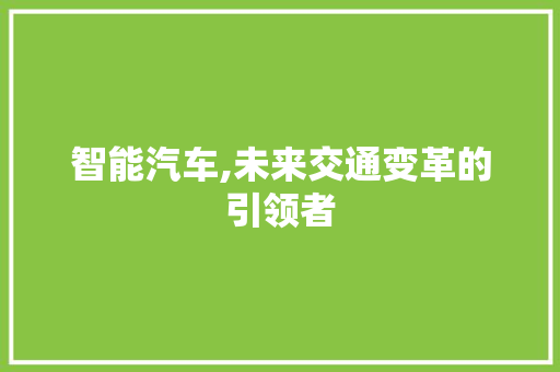 智能汽车,未来交通变革的引领者