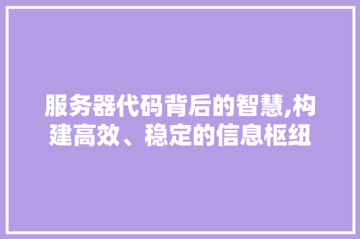 服务器代码背后的智慧,构建高效、稳定的信息枢纽