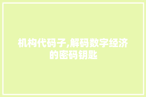 机构代码子,解码数字经济的密码钥匙